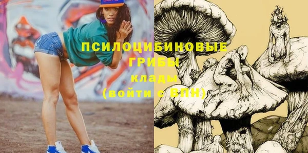 ПСИЛОЦИБИНОВЫЕ ГРИБЫ Горняк