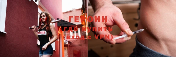 шишки Гусиноозёрск