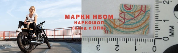 ПСИЛОЦИБИНОВЫЕ ГРИБЫ Горняк