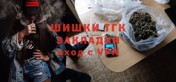 ПСИЛОЦИБИНОВЫЕ ГРИБЫ Горняк