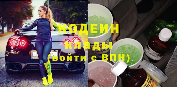 шишки Гусиноозёрск