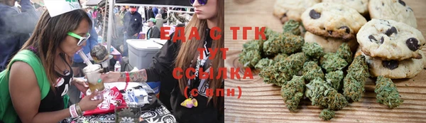 ПСИЛОЦИБИНОВЫЕ ГРИБЫ Горняк