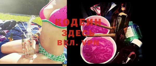 ПСИЛОЦИБИНОВЫЕ ГРИБЫ Горняк