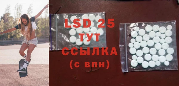 ПСИЛОЦИБИНОВЫЕ ГРИБЫ Горняк
