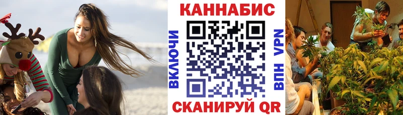 Шишки марихуана MAZAR  как найти   Нахабино 
